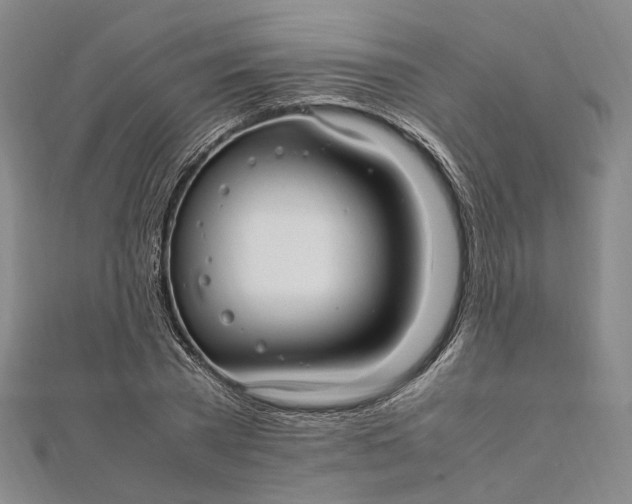 X0000112010785200908241454