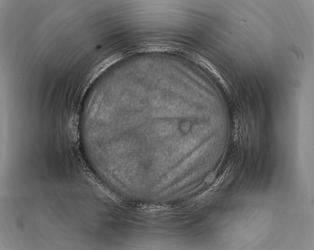 X0000112010786200908241454