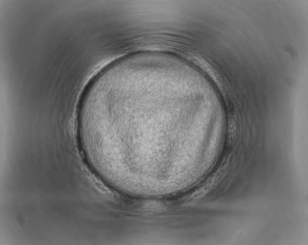 X0000112010787200908241454