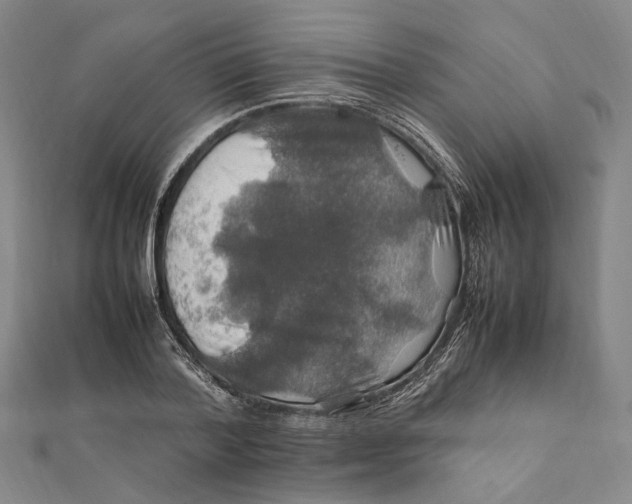 X0000112010788200908241454