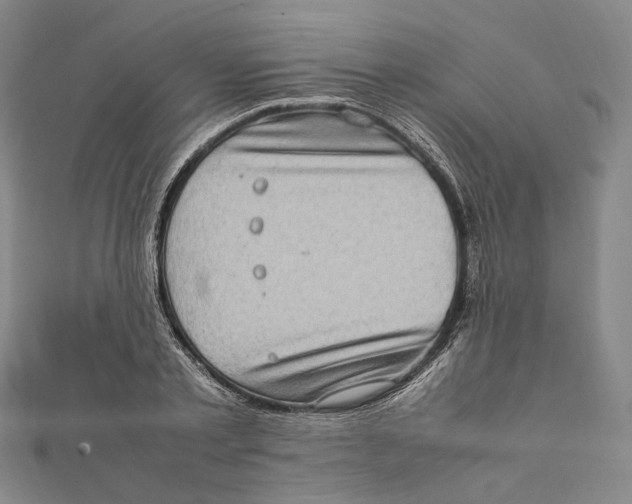 X0000112010789200908241454