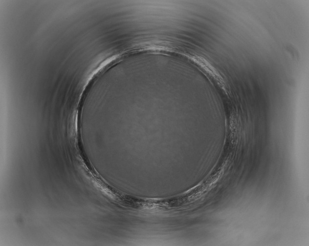 X0000112010790200908241454