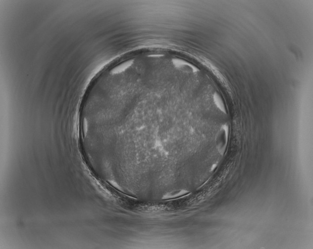 X0000112010791200908241454