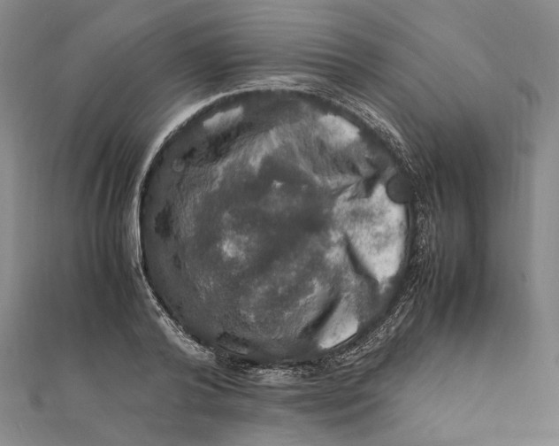 X0000112010792200908241454