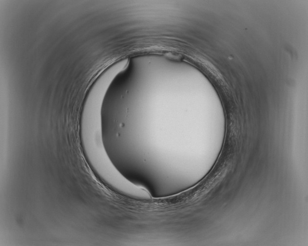 X0000112010793200908241454