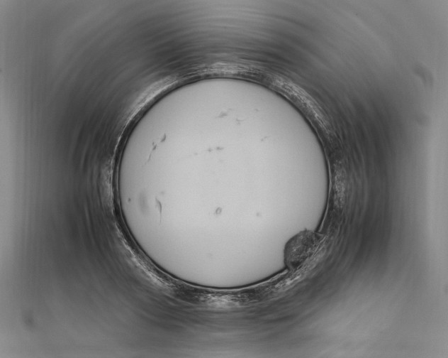 X0000112010794200908241454