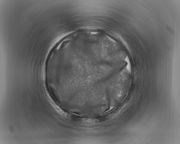 X0000112010795200908241454