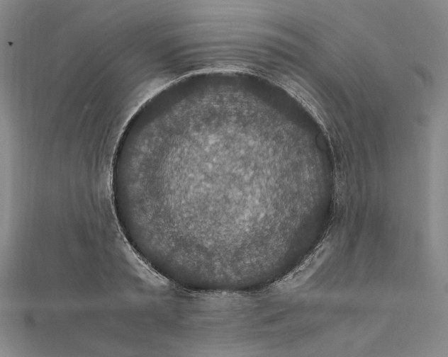 X0000112010797200908241453