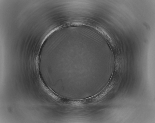 X0000112010798200908241453