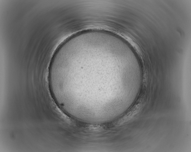 X0000112010799200908241453