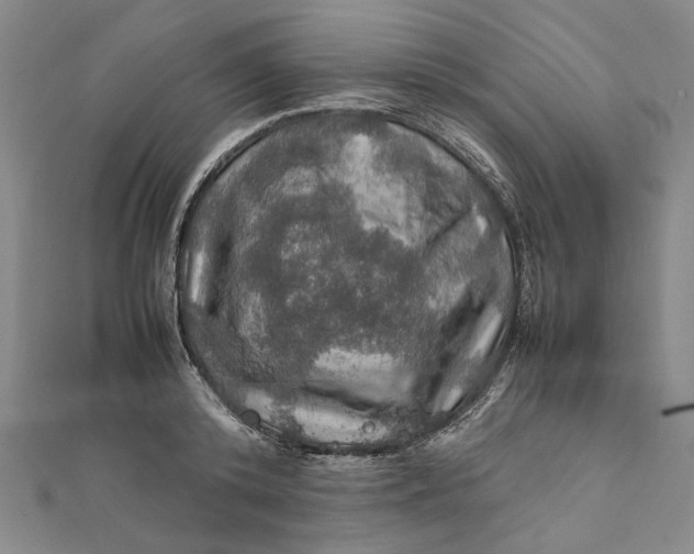 X0000112010800200908241453