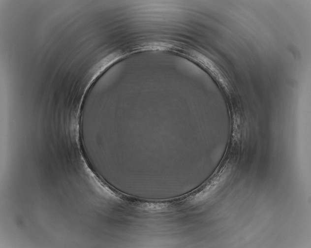 X0000112010802200908241453