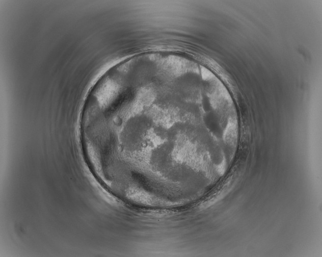 X0000112010803200908241453