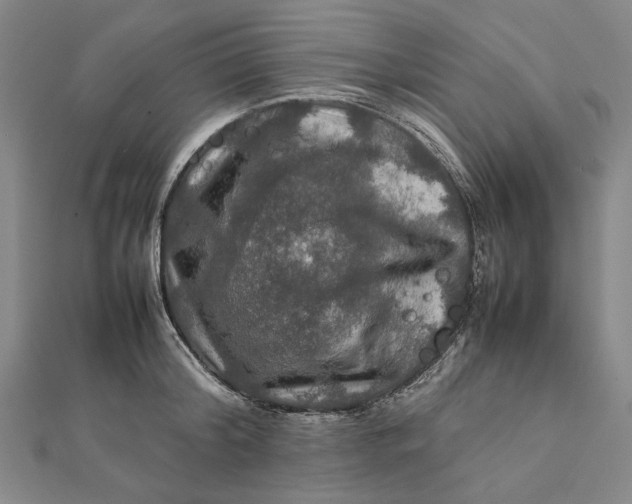 X0000112010804200908241453