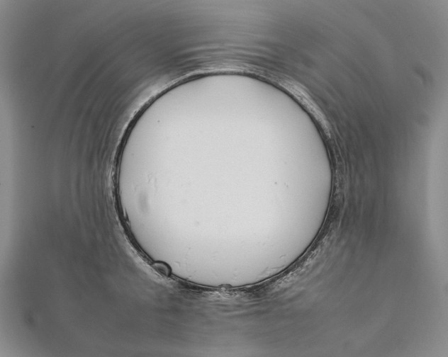 X0000112010805200908241453