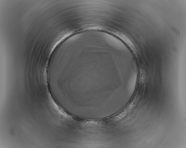 X0000112010806200908241453