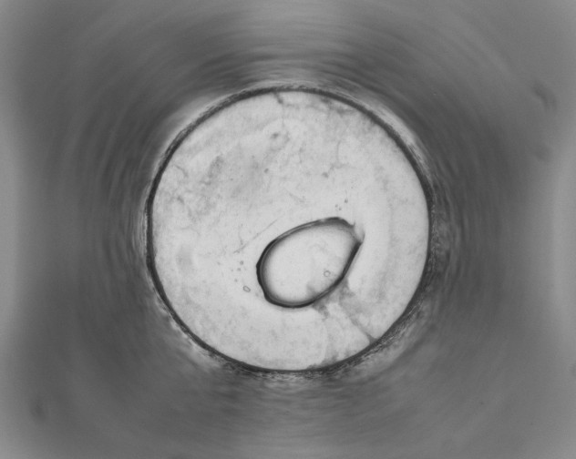 X0000112010807200908241453