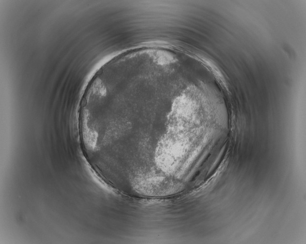 X0000112010808200908241453