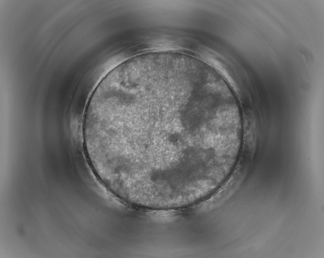 X0000112010810200908241453