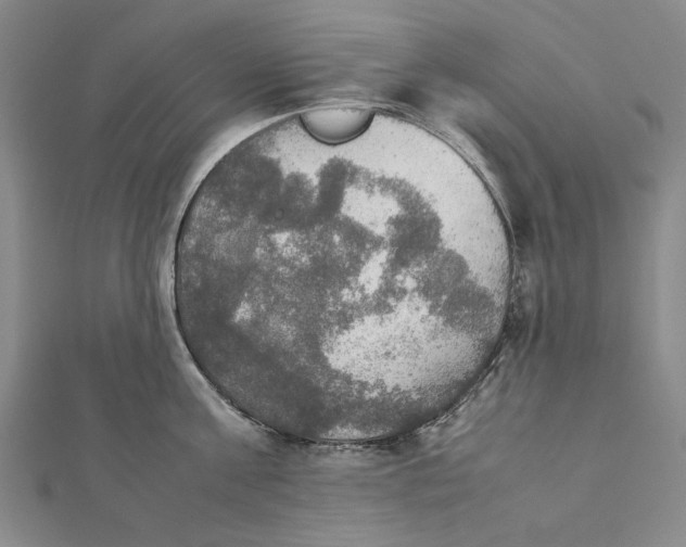 X0000112010811200908241453