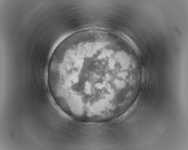 X0000112010812200908241453