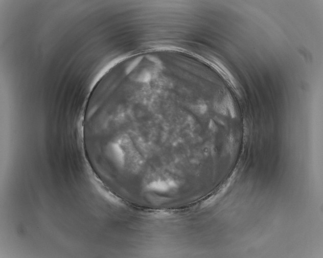 X0000112010814200908241453