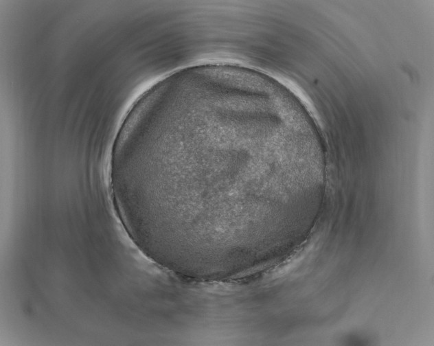 X0000112010815200908241453