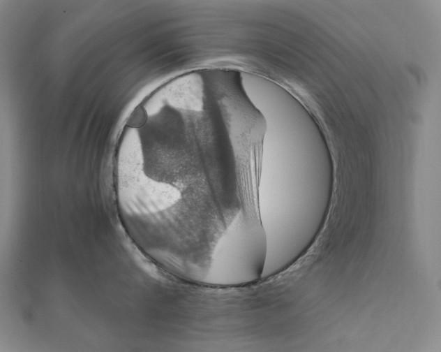 X0000112010816200908241453