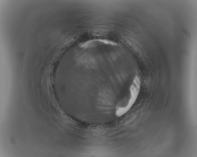 X0000112010817200908241453