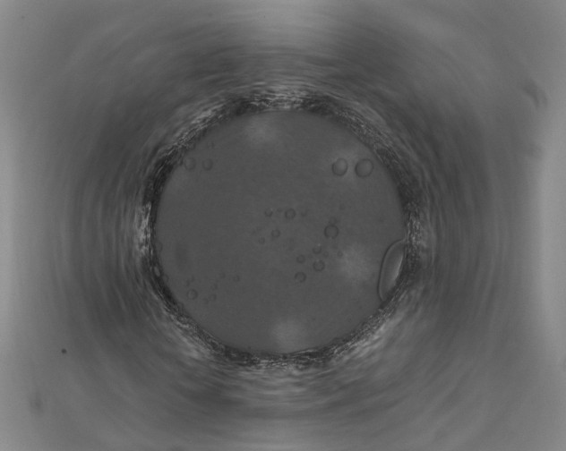 X0000112010818200908241453