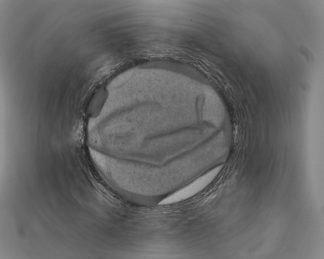 X0000112010820200908241453