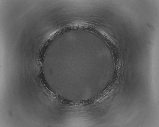 X0000112010822200908241453