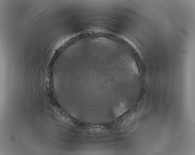 X0000112010823200908241453