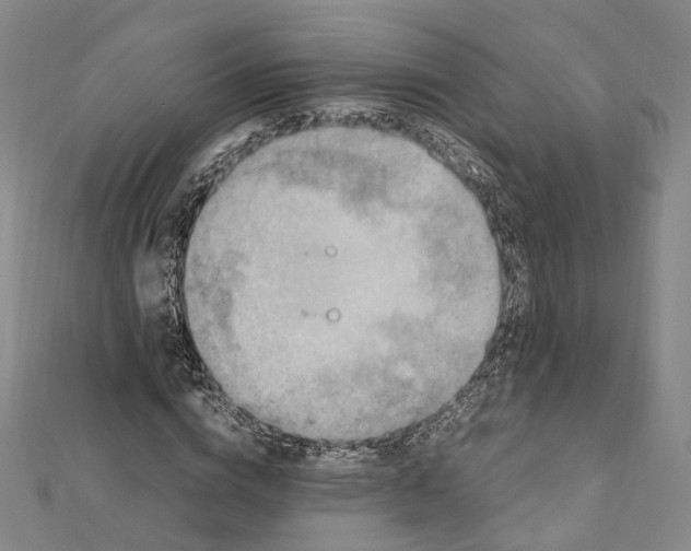 X0000112010824200908241453