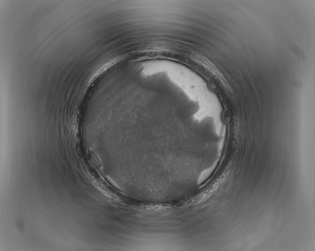 X0000112010826200908241453