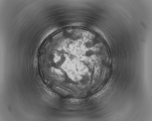 X0000112010827200908241453