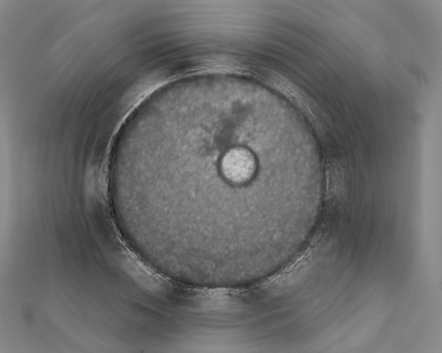 X0000112010828200908241453