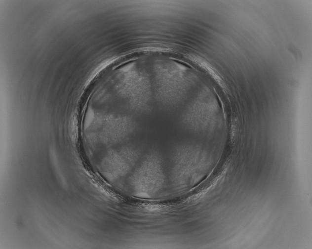 X0000112010829200908241453