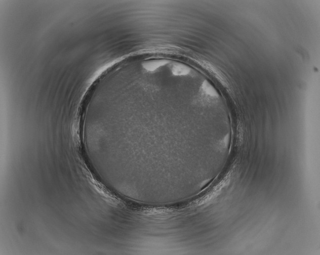 X0000112010830200908241453