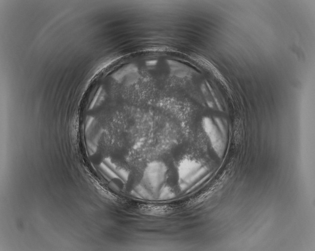 X0000112010831200908241453