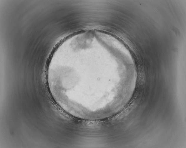 X0000112010832200908241453