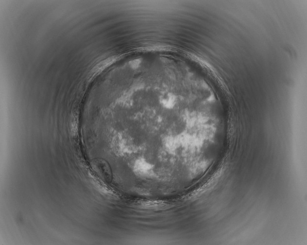 X0000112010833200908241453