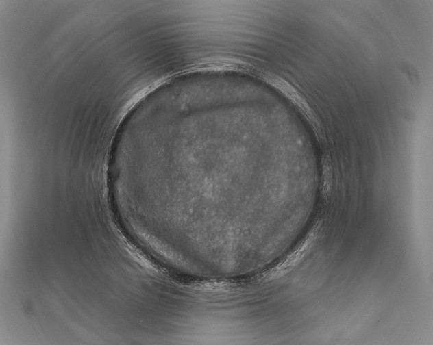 X0000112010834200908241453