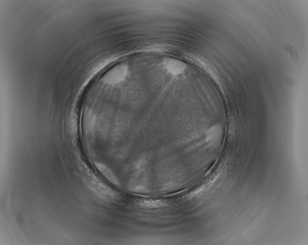 X0000112010835200908241453