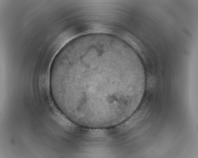 X0000112010836200908241453