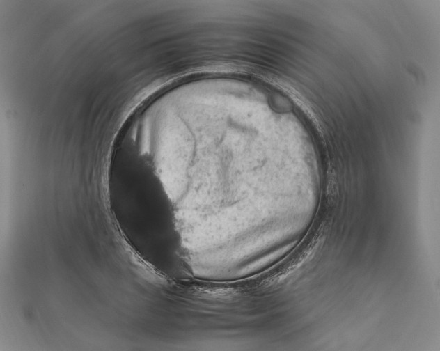 X0000112010837200908241453