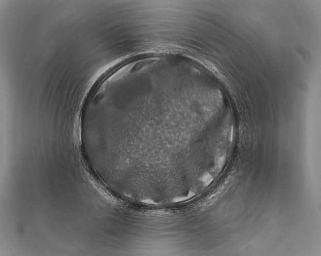 X0000112010838200908241453