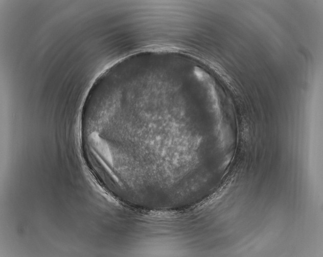 X0000112010840200908241453