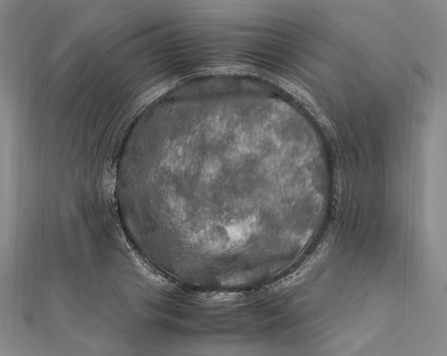 X0000112010841200908241453