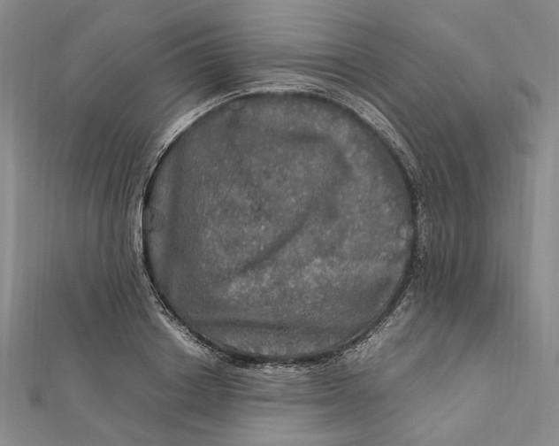 X0000112010842200908241453